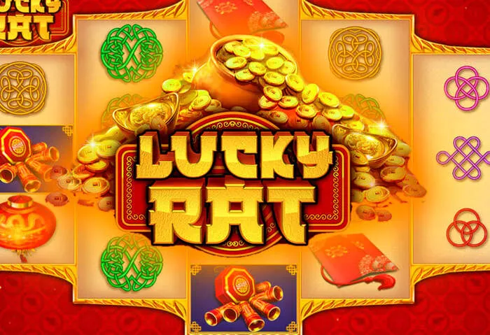 Dettagli Bonus di Registrazione Boo Casino chiari.