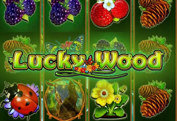 Interfaccia mobile ottimizzata Boo Casino per smartphone