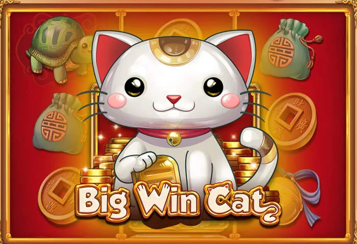 Einfacher Boo Casino Registrierungsprozess starten und spielen